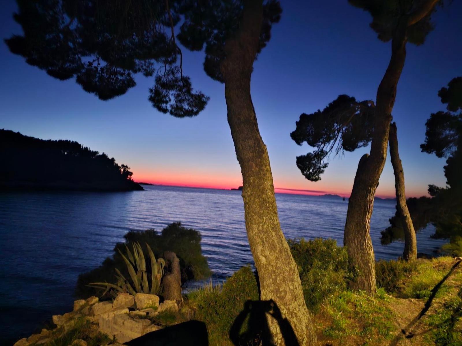Villa Anica Dubrovnik - Luxurious With A Sea View المظهر الخارجي الصورة
